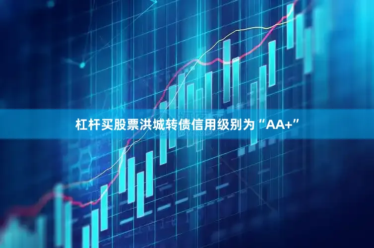 杠杆买股票洪城转债信用级别为“AA+”
