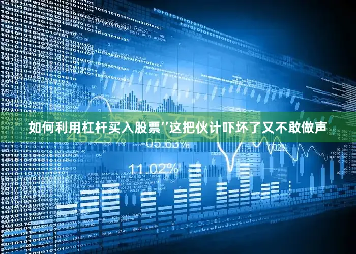 如何利用杠杆买入股票‘’这把伙计吓坏了又不敢做声