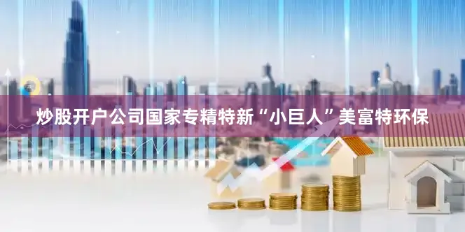 炒股开户公司国家专精特新“小巨人”美富特环保